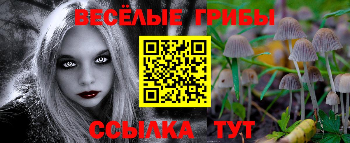 Владикавказ  Галлюциногенные грибы мухоморы  Вход с VPN 